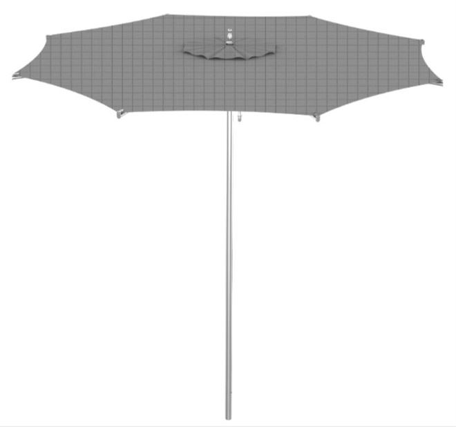 BSM - FLAPS